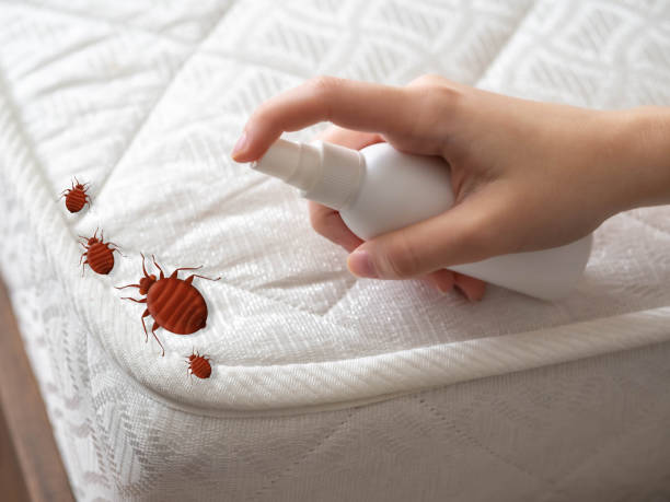 Best Residential Pest Control  in Silverton, OR